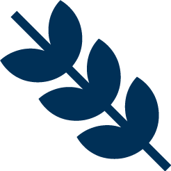 Ikon som representerar behovet Glutenfri