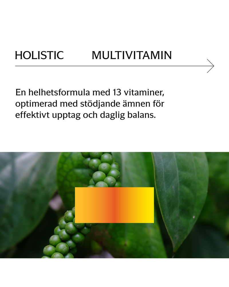 Multivitamin, 90 kapslar (3 av 7)