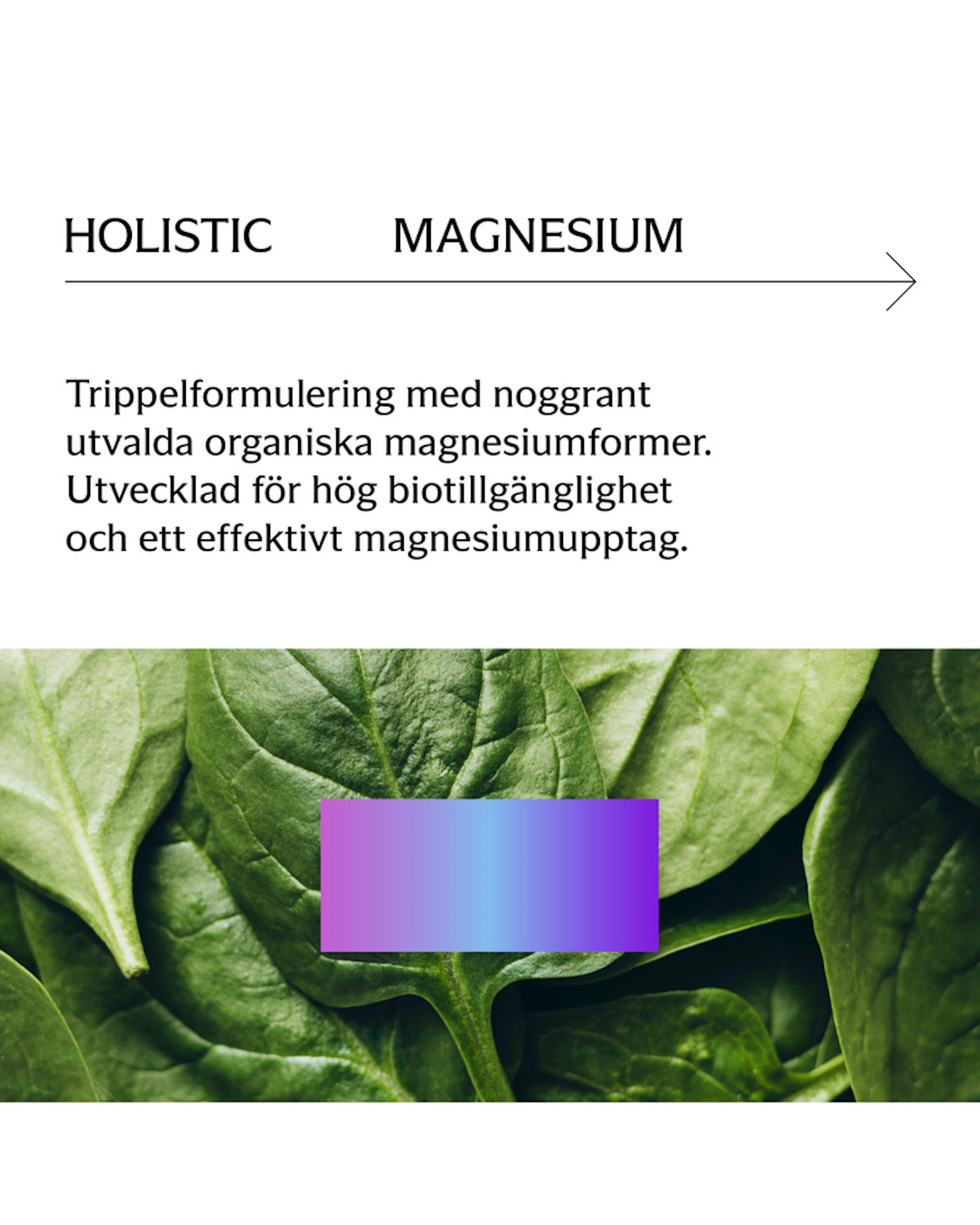 Magnesium 120 mg, 180 kapslar (3 av 6)